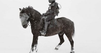 MUSEUM NIGHT – Steady?